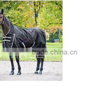 Horse Rugs