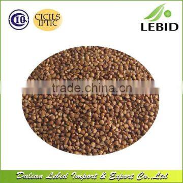 Chinese Wholesale Roasted Buckwheat Good Quality