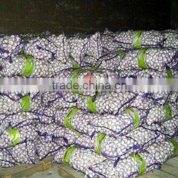 Fresh Vegetable( Carrot ,giner,onion,potato,garlic,taro photo-3