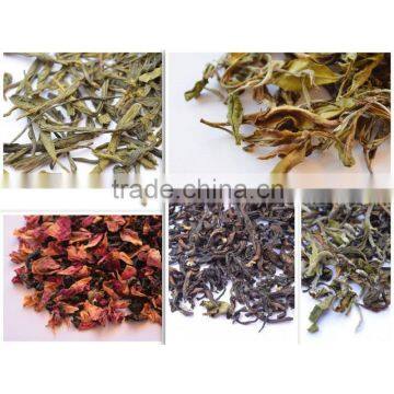 Darjeeling Assortment Tea Sampler Pack