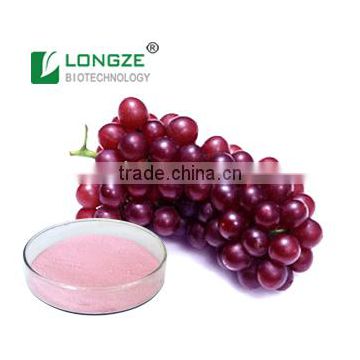 Sprayed-Dried Grape Juice Fruit Powder Vitis vinifera Powder for Food and Beverage