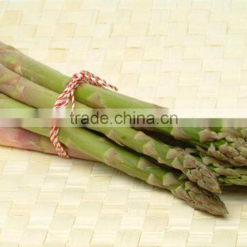 Frozen Asparagus, IQF Asparagus photo-5