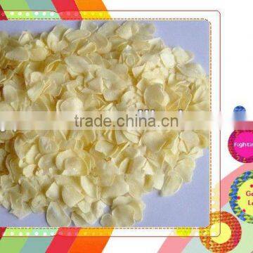 sell garlic flakes for world market