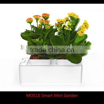 Smart Mini Garden trade agents wanted in Iran