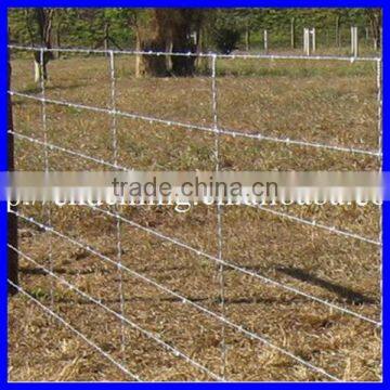 Cheap! Hot Dip/ Electric Galvanized Double Twist Barbed Wire Fencing Real Factory (ISO) photo-5