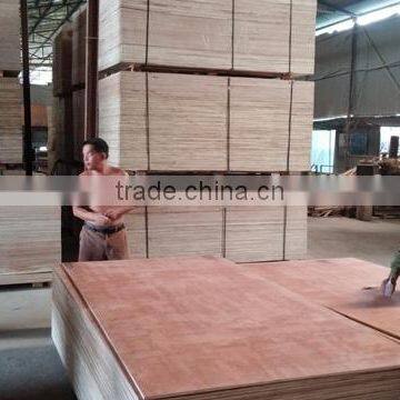 Red face Bingtagor grade AB Plywood - Kego Ltd