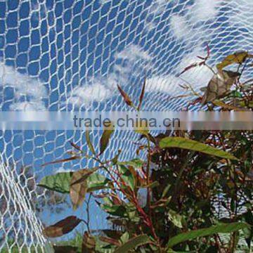 Green pe harvest net for olive