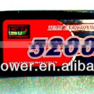 Enrich Power Lipo Battery