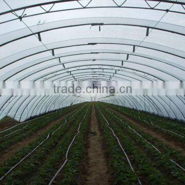 Multi Span PE Cover Film PE Greemhouse Film for Vegetable Greenhouse photo-2