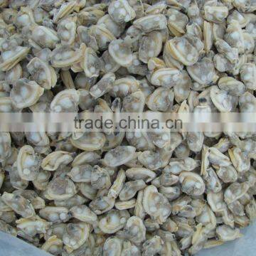 Seafood Frozen Canned Baby Clam photo-2