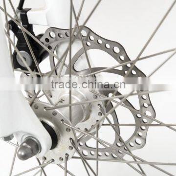 Hot Selling Cheap Electric Bike Mini Folding Electric Bike With Hiddden Battery photo-5