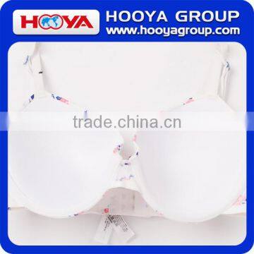 Spandex And Nylon Girls Hot Sexy Bra Stylish Bra Sexy Net Bra photo-3