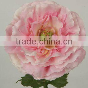 27629N light pink silk peach ranunculus used to be Holding the wedding flowers