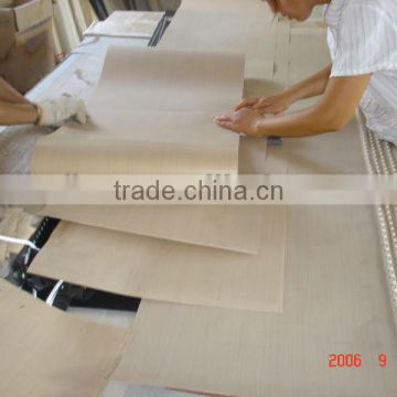 PTFE (Teflon) Coated Glass Fabric