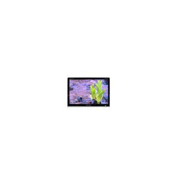 19 LCD  monitor (made in china)