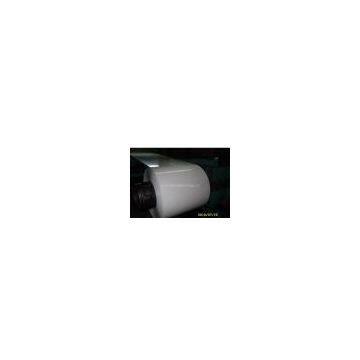 color coated steel coil