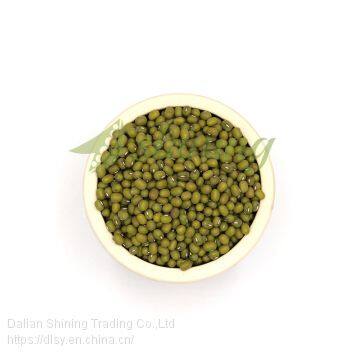 New Crop Premium High Quality Green Mung Bean For Sell