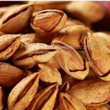 Машина для сушки миндаля photo-4