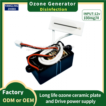 12V-100mg Ozone Generator 37*15mm Ozone Plate Air Purification and Disinfection photo-2