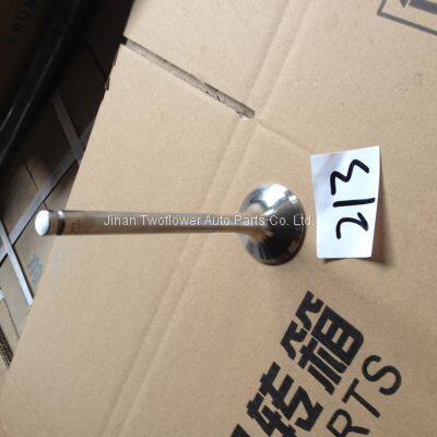 61560050041 Exhaust valve