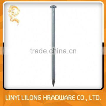 Small MOQ Galvanized Metal Steel Nails