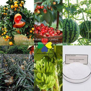 Supply Agrochemical Gibberellic Acid Ga3 90%tc for Sale With Price photo-3