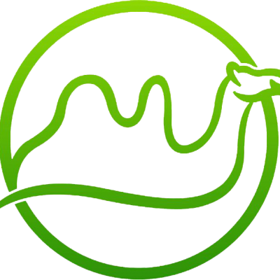Qianqian Technology Co,.Ltd