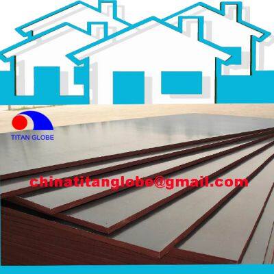 18mm Phenolic Shuttering Plywood Sheet Eco-Friendly 4x8 Laminated Board with 12mm Construction Shuttering Needs Film Faced