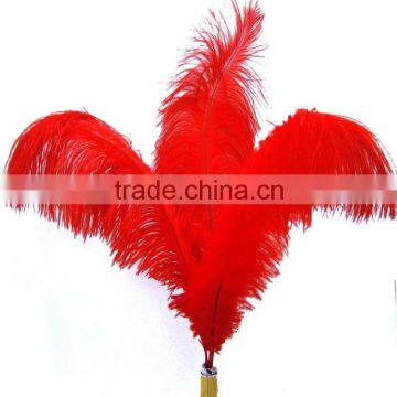 Hot sale artificial ostrich feathers for Carnivel Costumes,white ostrich plumes,red ostrich feather