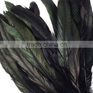 Home Decor rooster feather, black cock feather, dyed colourful feather wholesale