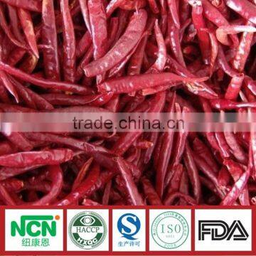 Dried Red Chilli