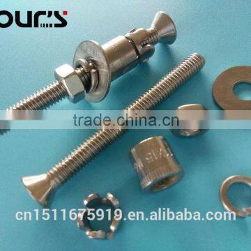 china supplier 304 316 stainless steel hex nut anchor bolt