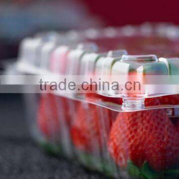 APT-540/760 Automatic OPS Blister Thermoforming Machine With In-mold Trimming photo-4