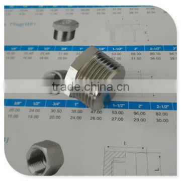 Hex Barb Fitting,1" BSPT Hex Solid Plug Type 304