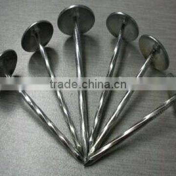 Galvanized Umbrella Head Roofing Nail