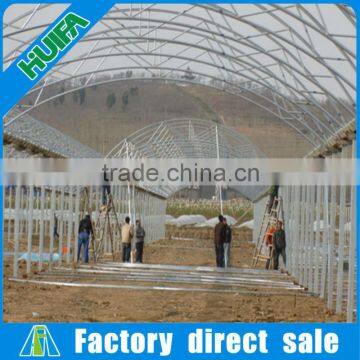 Multi-span Plastic Film Greenhouse and Forever Flowering Auto Blackout Greenhouse photo-3