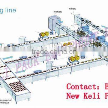 donut automatic packing machine( Feeding line)
