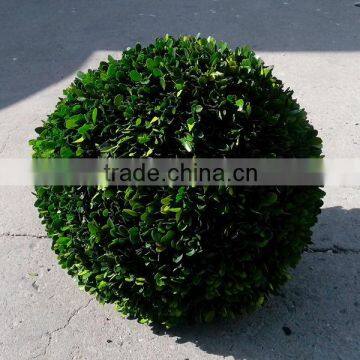 Handmade different size preserved boxwood ball
