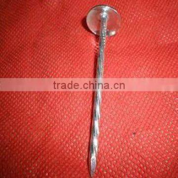 2.5"x9bwg galvanized roofing nails