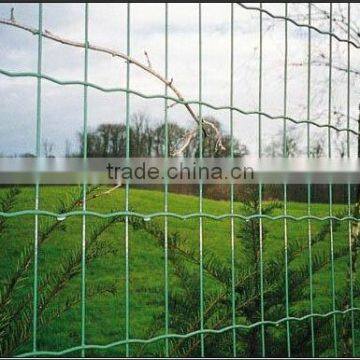 Hot sale great quality Euro Fence/Holland mesh/Holland Fence