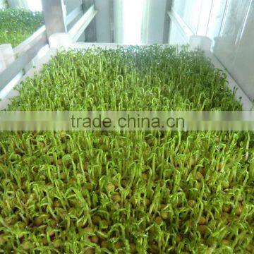 2016 Popular Animal Feeding Machine / Animal Machine photo-3