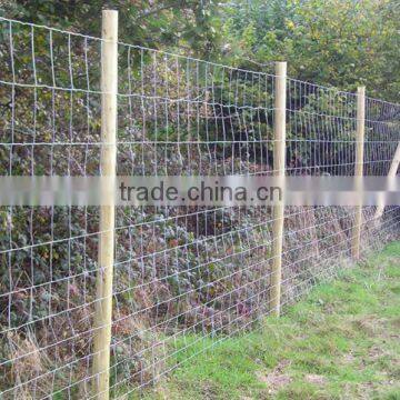 Stock Fencing /stocking fence