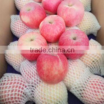 Best Selling Nutritious Apple Fuji Apples Chinese Fuji Apple