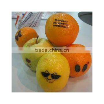 Fruit Printing Machine
