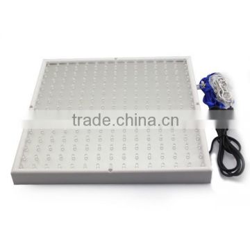 14w led aquarium plant lighting white blue