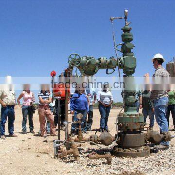 Oil field wellhead christmas tree/X-mas tree