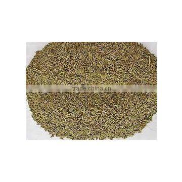 Cumin Seed