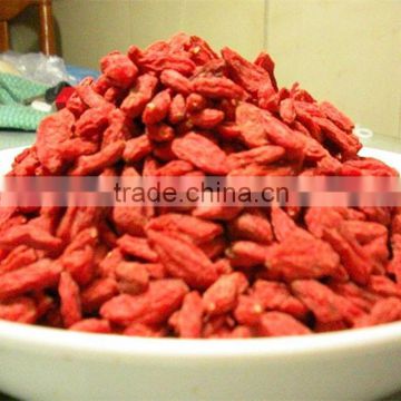 Nature Goji Fruit