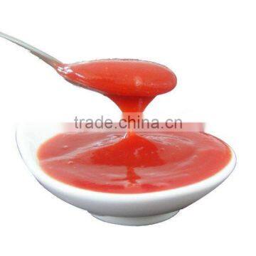 2016 fresh raw material Tomato ketchup in plastic bottle