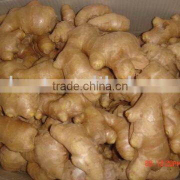 Air dried fresh ginger